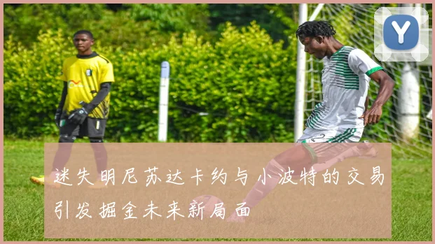 迷失明尼苏达卡约与小波特的交易引发掘金未来新局面