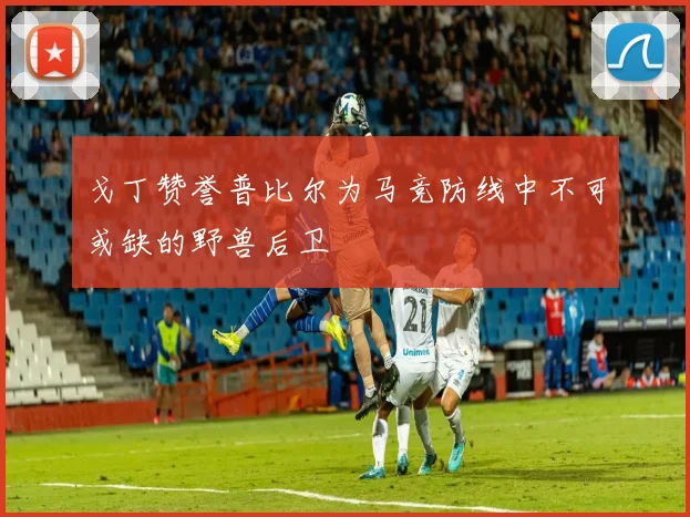 戈丁赞誉普比尔为马竞防线中不可或缺的野兽后卫