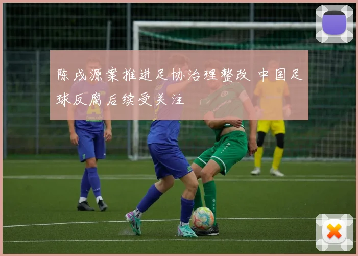 陈戌源案推进足协治理整改 中国足球反腐后续受关注