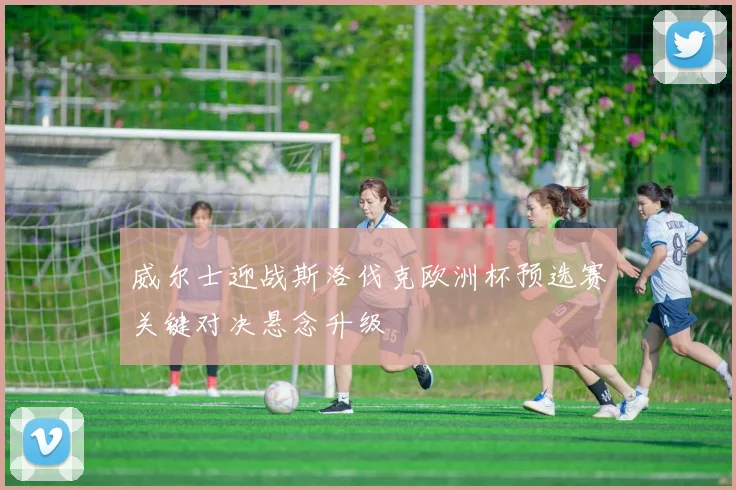 威尔士迎战斯洛伐克欧洲杯预选赛关键对决悬念升级